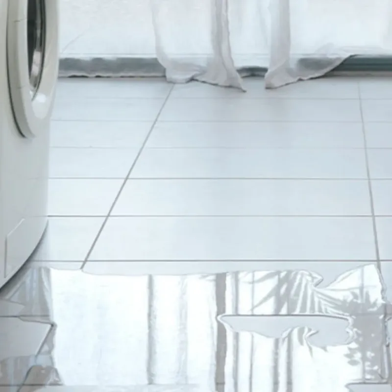 Appliance Leak Cleanup in Ruston, LA