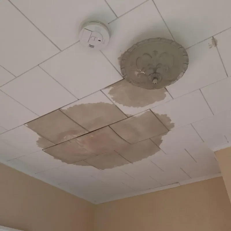 Ceiling Water Damage Repair in Ruston, LA